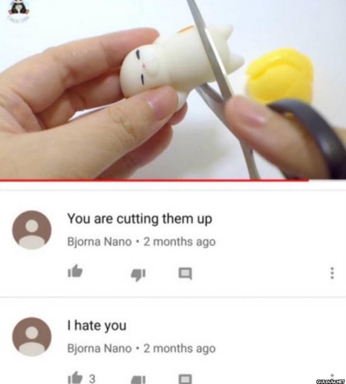 You are cutting them up...