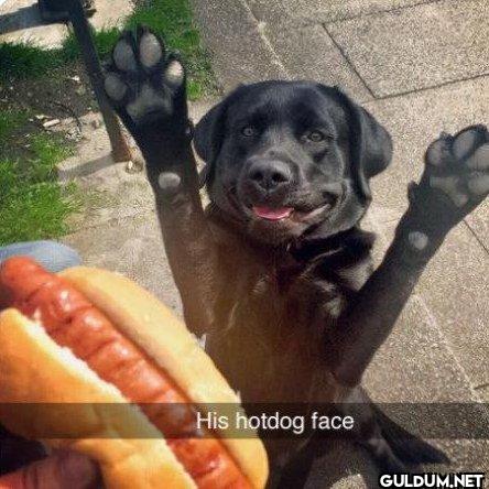 His hotdog face