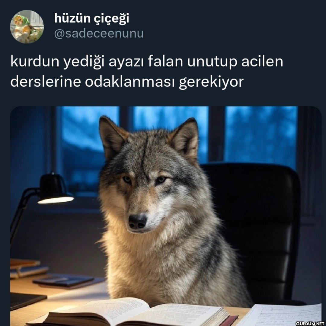 kurdun yediği ayazı falan...
