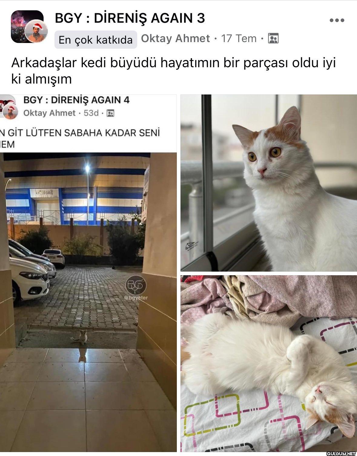 Olum çok tatlı lann   ...