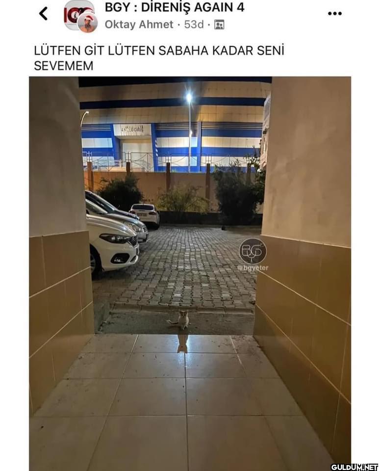 Olum çok tatlı lann   ...