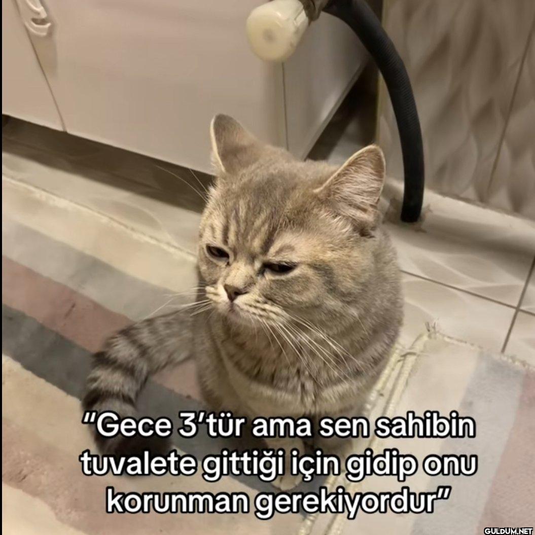 "Gece 3'tür ama sen...