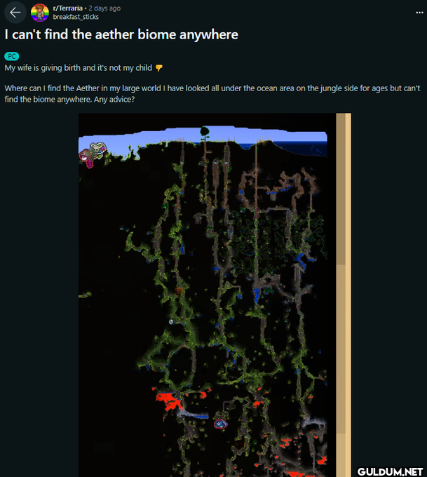 r/Terraria. 2 days ago...