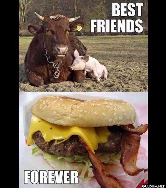 🤣    EATLIVER.COM BEST...