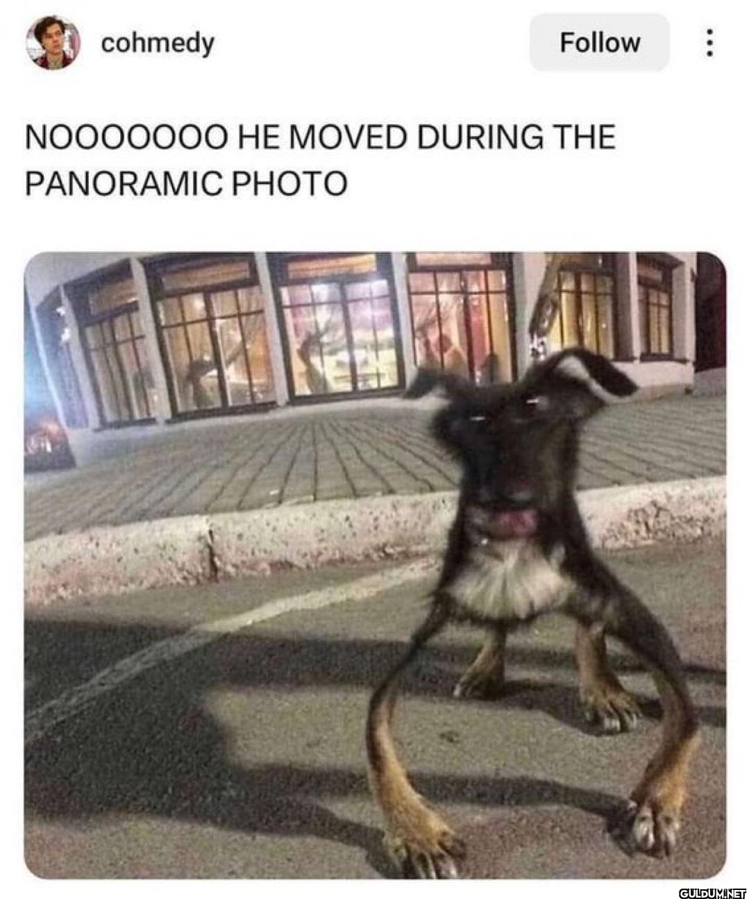cohmedy Follow NOOOOOOO HE...