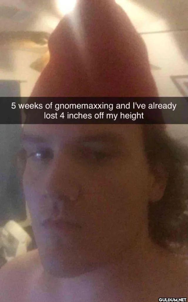 5 weeks of gnomemaxxing...