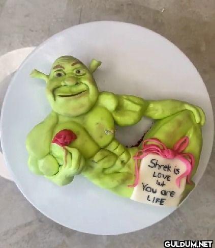 Shrek is LOVE You are LIFE