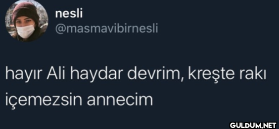 hayır Ali haydar devrim,...