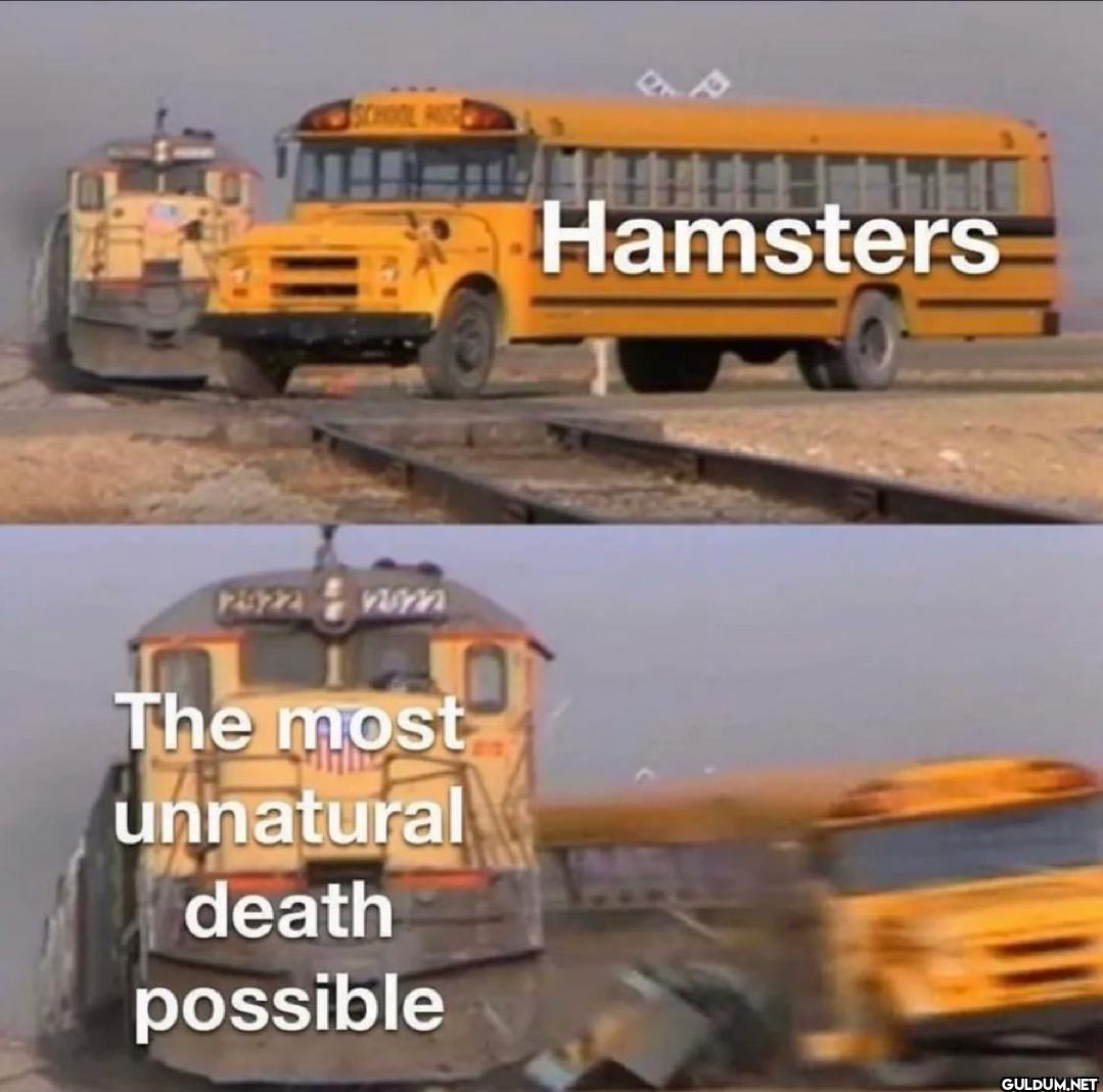 2922 2822 The most...