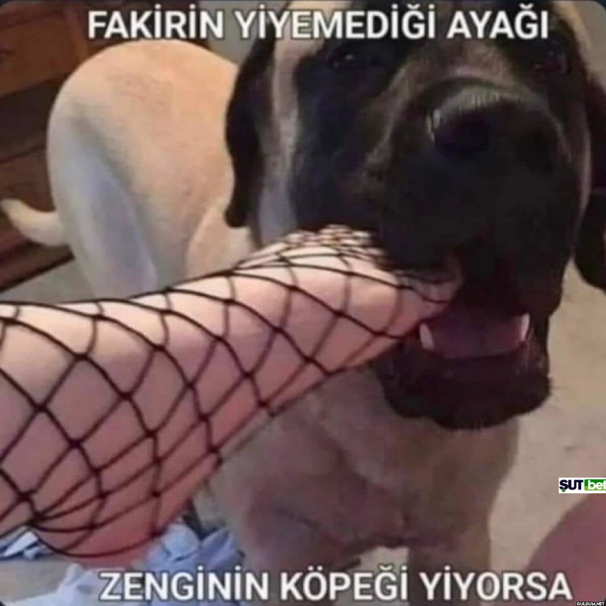 FAKİRİN YİYEMEDİĞİ AYAĞI...