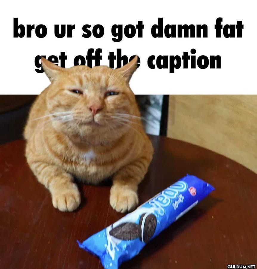 bro ur so got damn fat get...