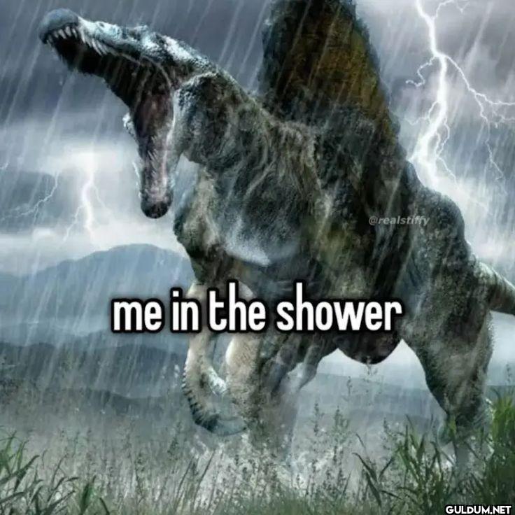 me in the shower