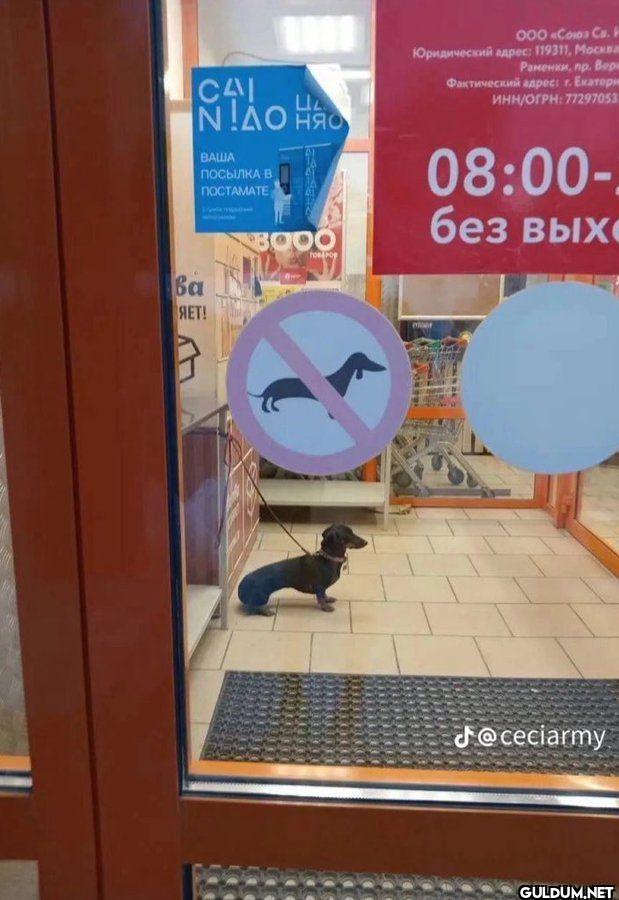 ООО Связь С.А. Юридический...