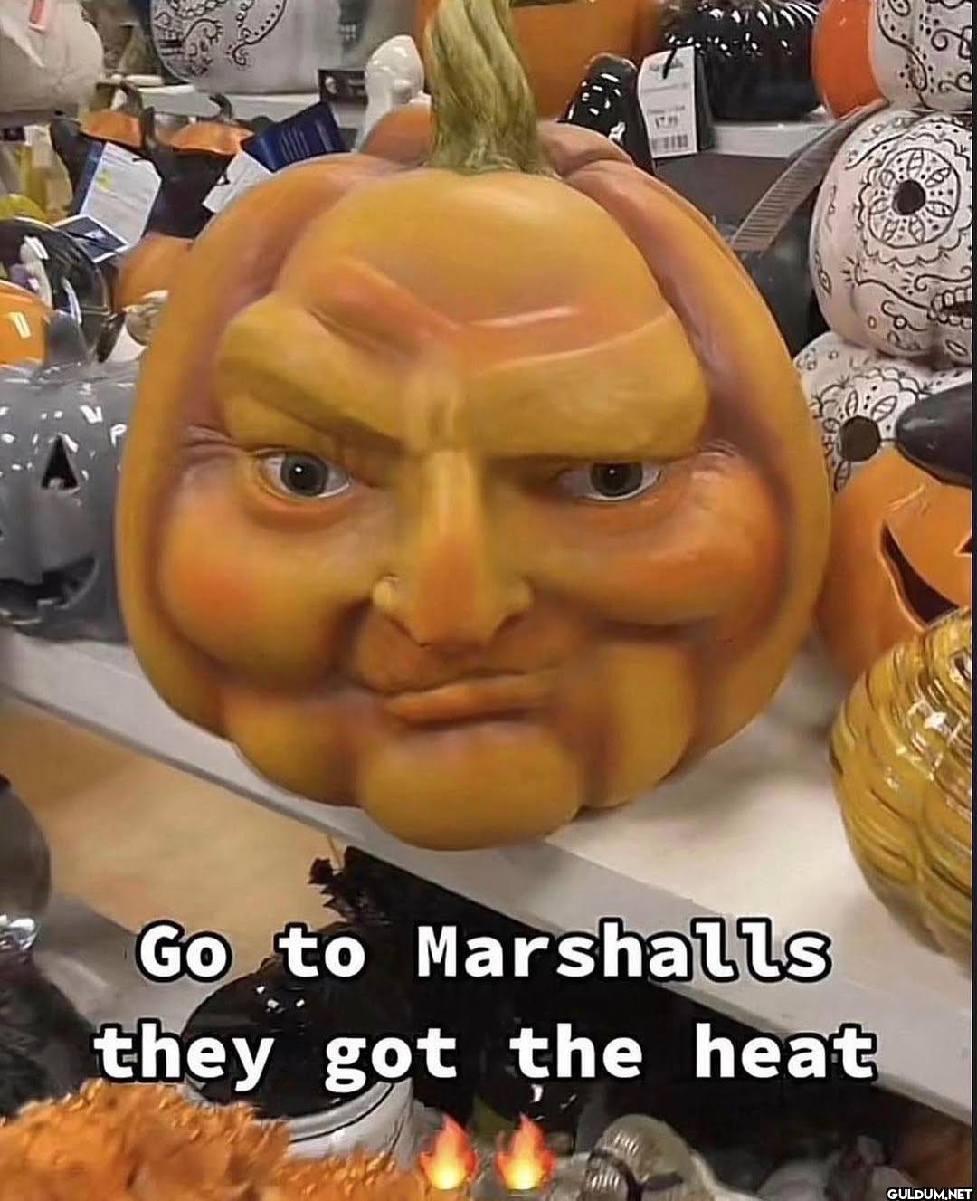 1731 Go to Marshalls they...