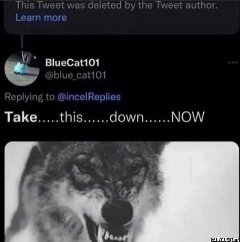 This was deleted by the...