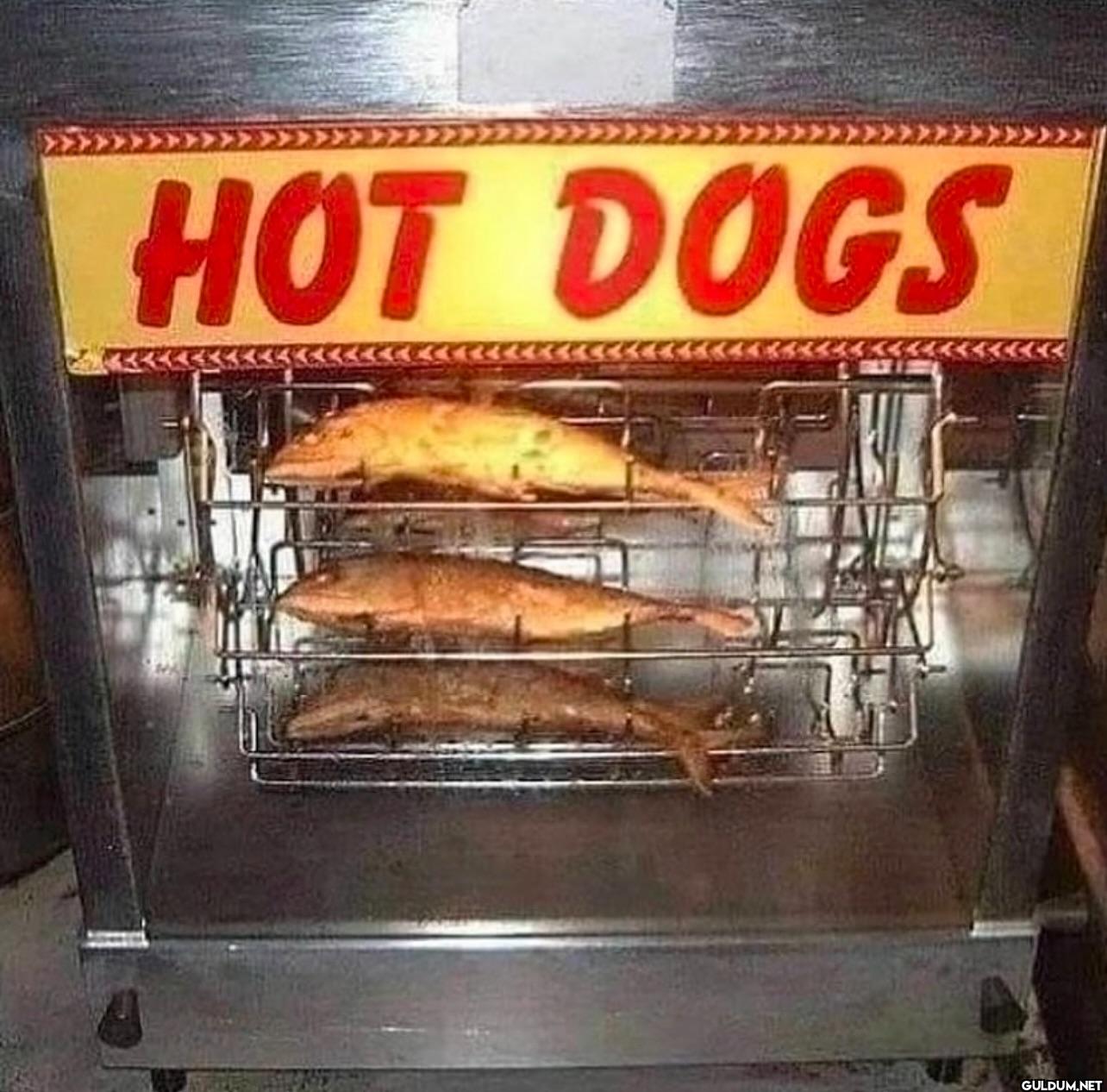 HOT DOGS