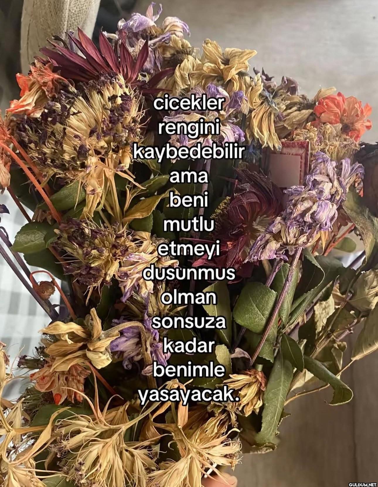 cicekler rengini...