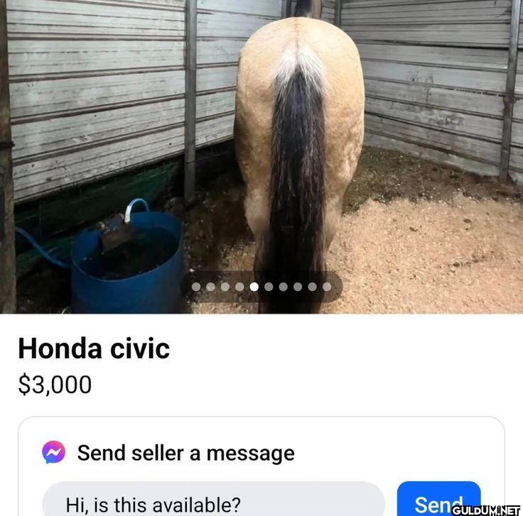 Honda civic 3,000 seller a...