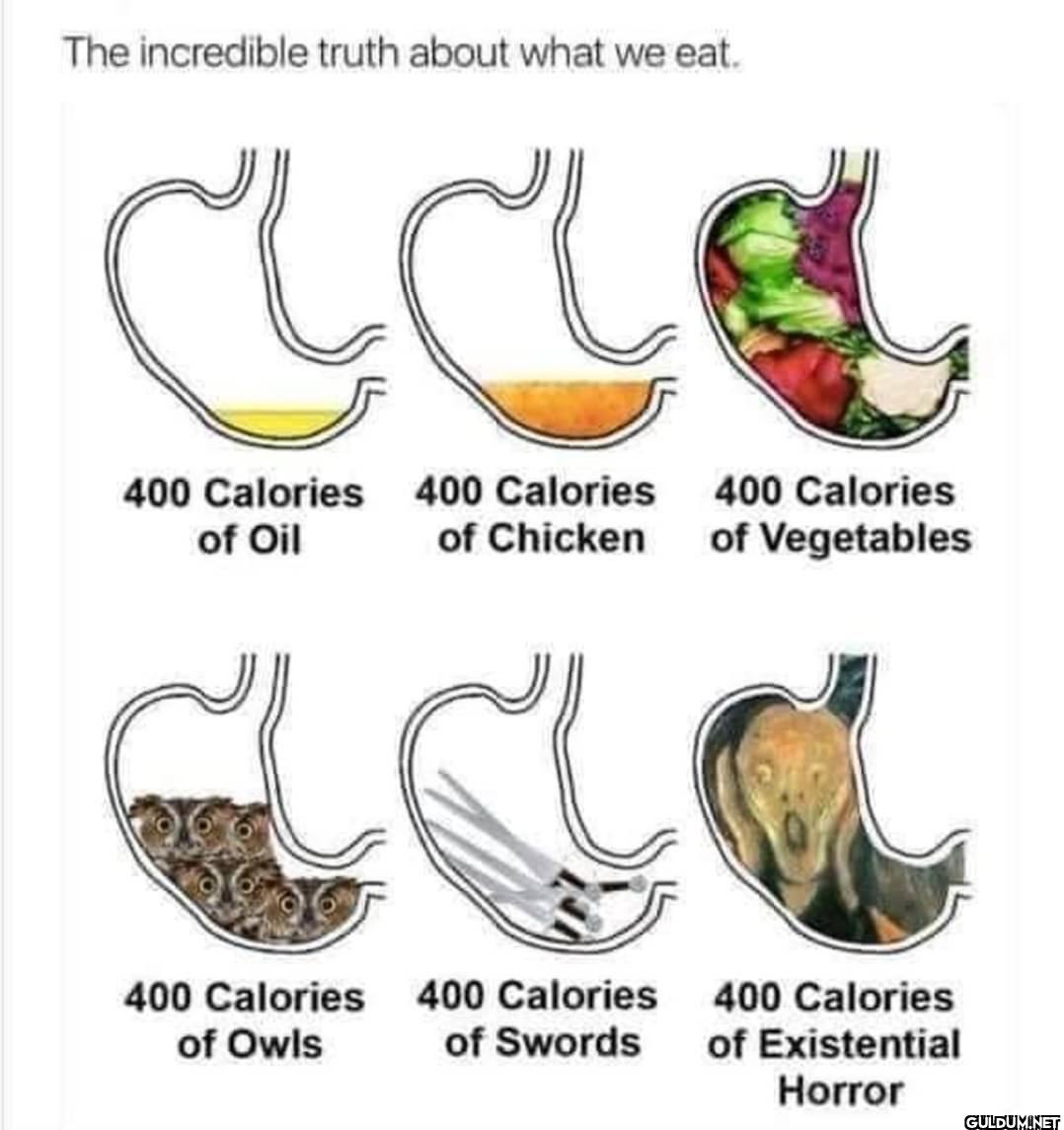 The incredible truth about...
