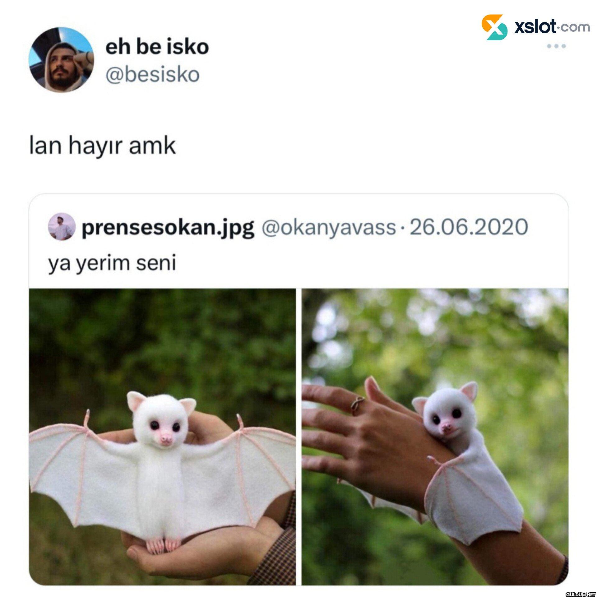 lan hayır amk ✓...