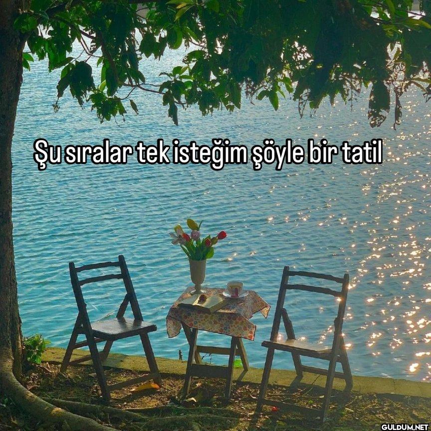Şu sıralar tek isteğim...