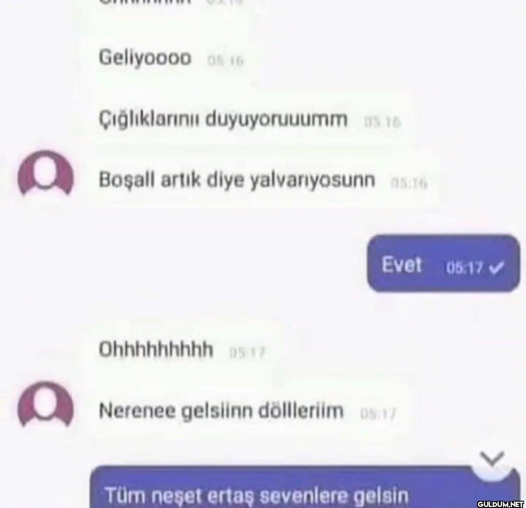 saadettin saran - ela...