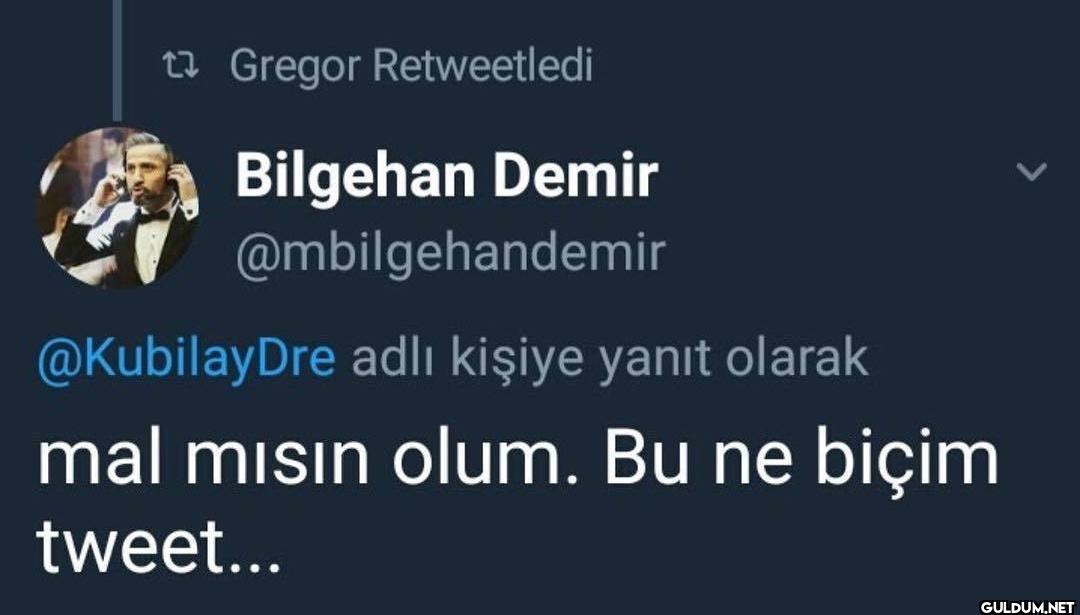 videolarsivi    Gregor...