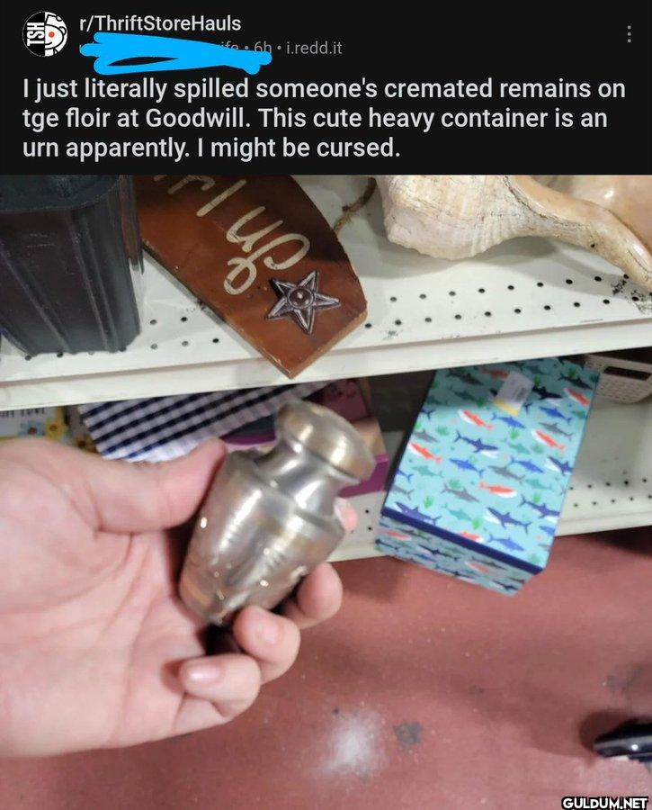 r/ThriftStoreHauls...