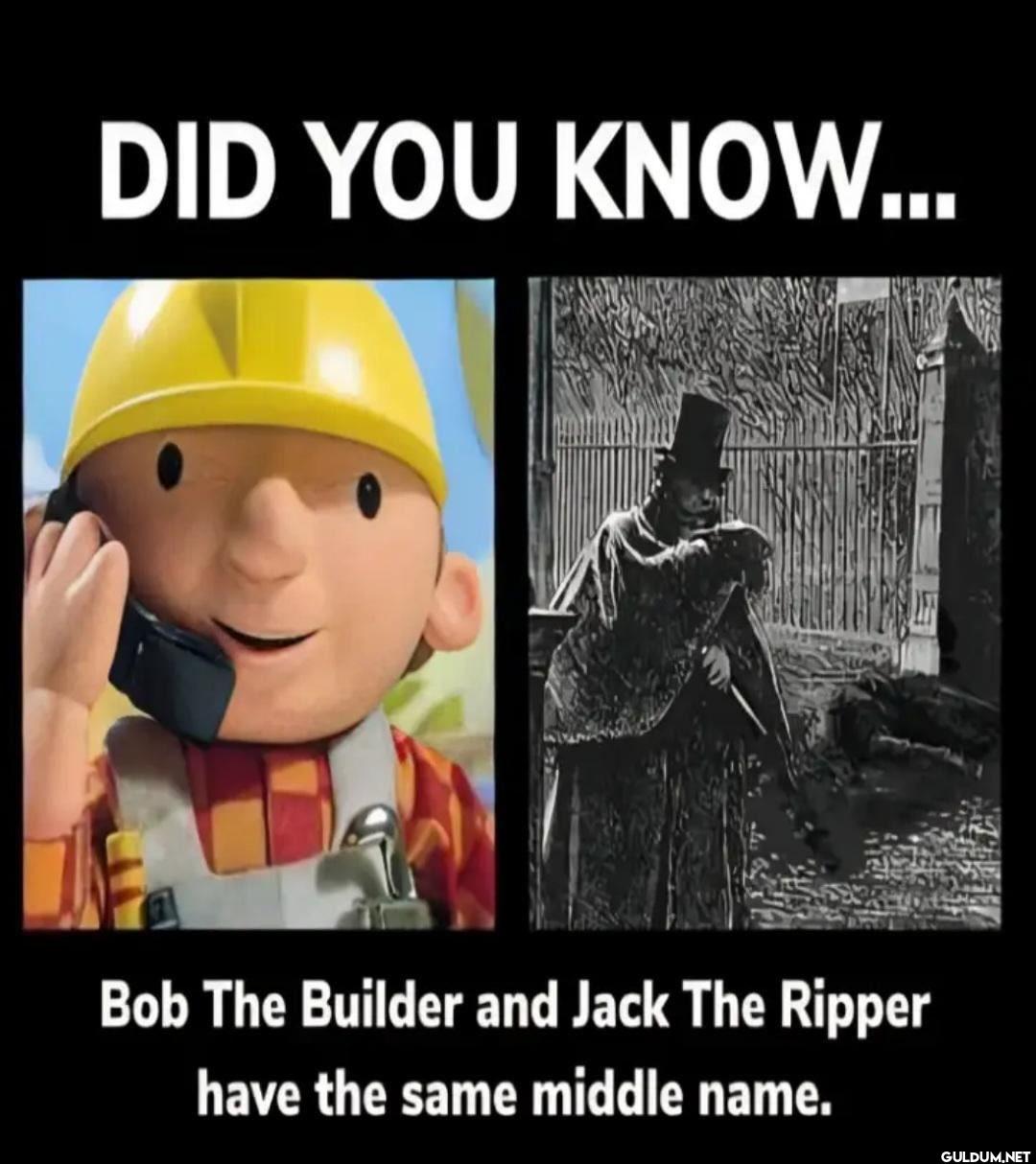 DID YOU KNOW... Bob The...