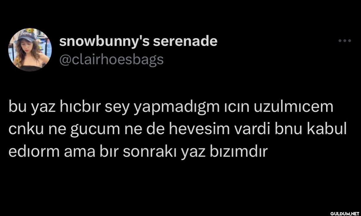 bu yaz hicbir sey...