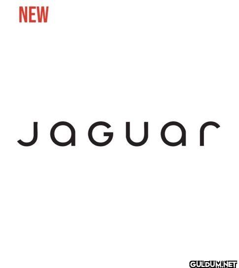 Jaguar has changed their...