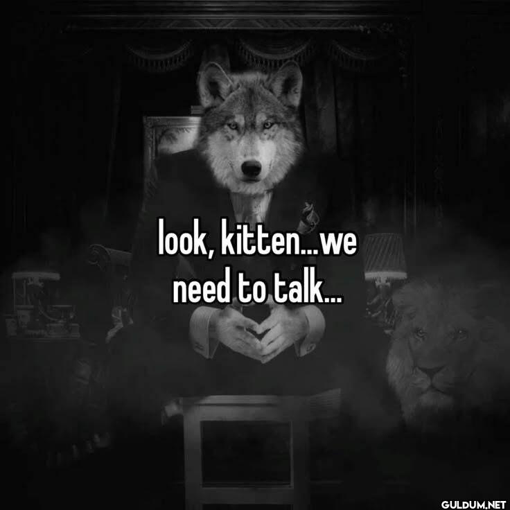 look, kitten...we need to talk...