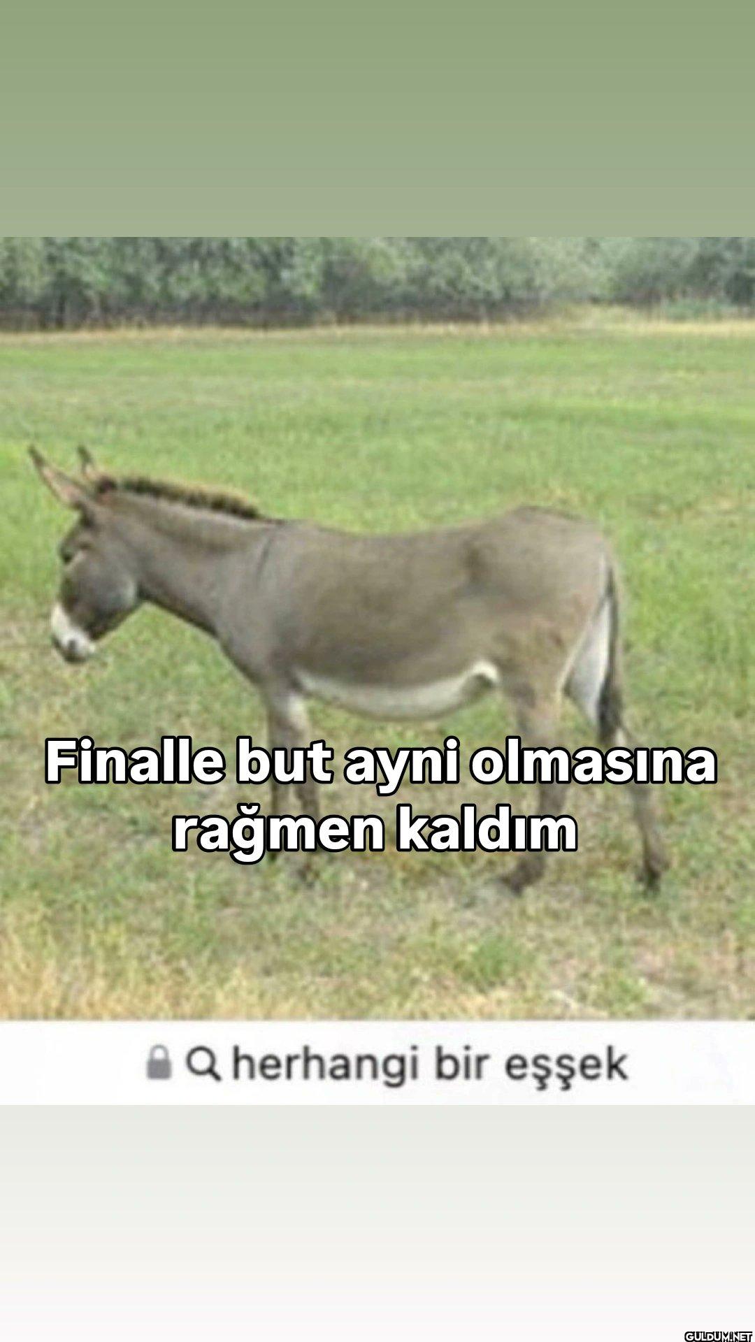 Finalle but ayni olmasına...