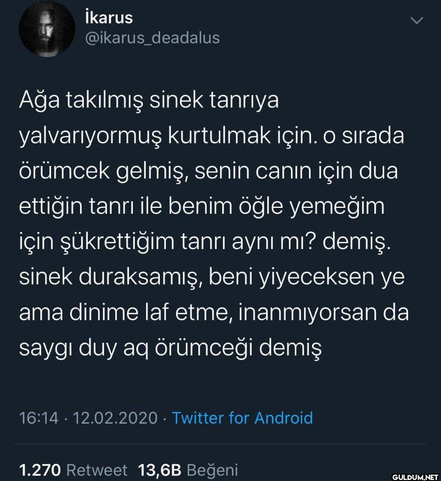 Ağa takılmış sinek tanrıya...