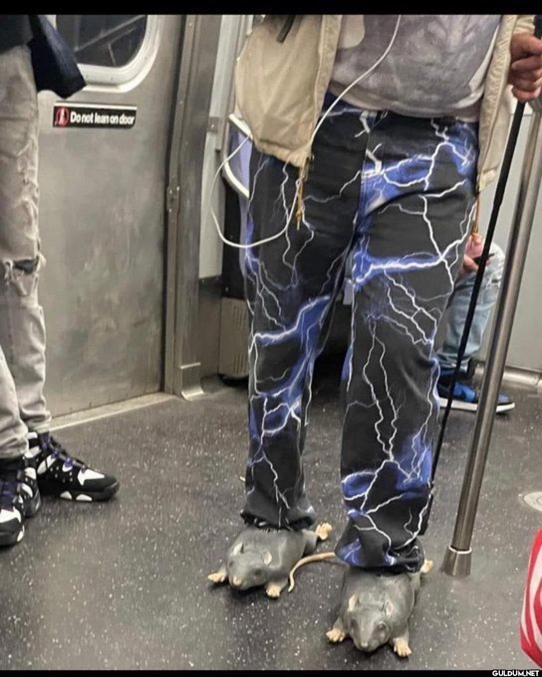need this fit    Do not...