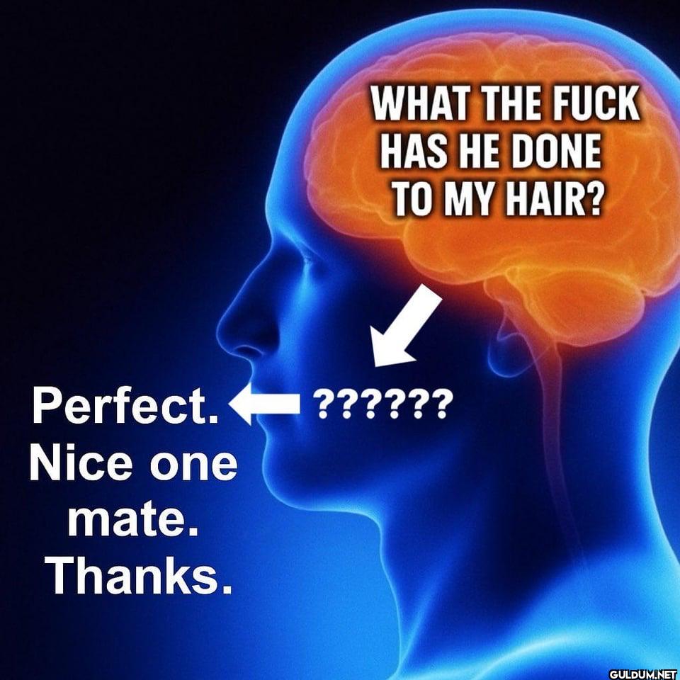 Perfect. Nice one mate....
