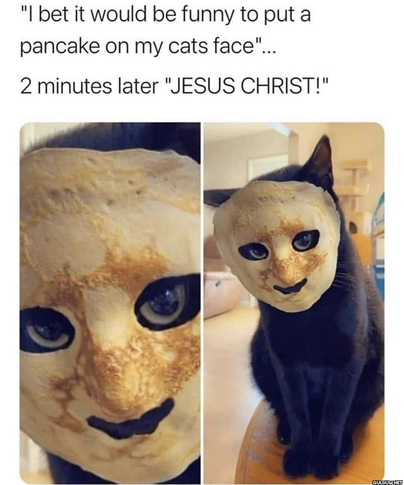 "I bet it would be funny...