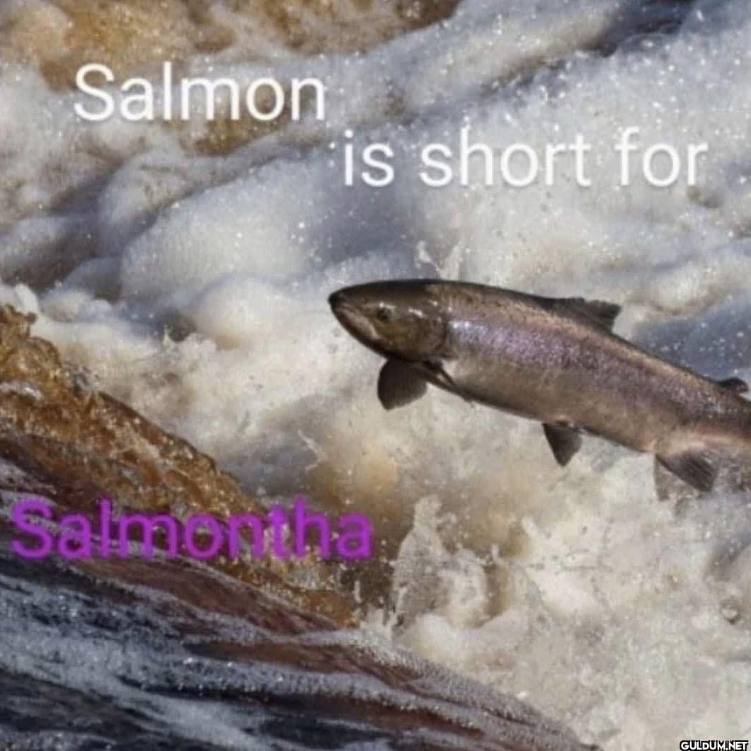 Salmon is short for Salmoyiha