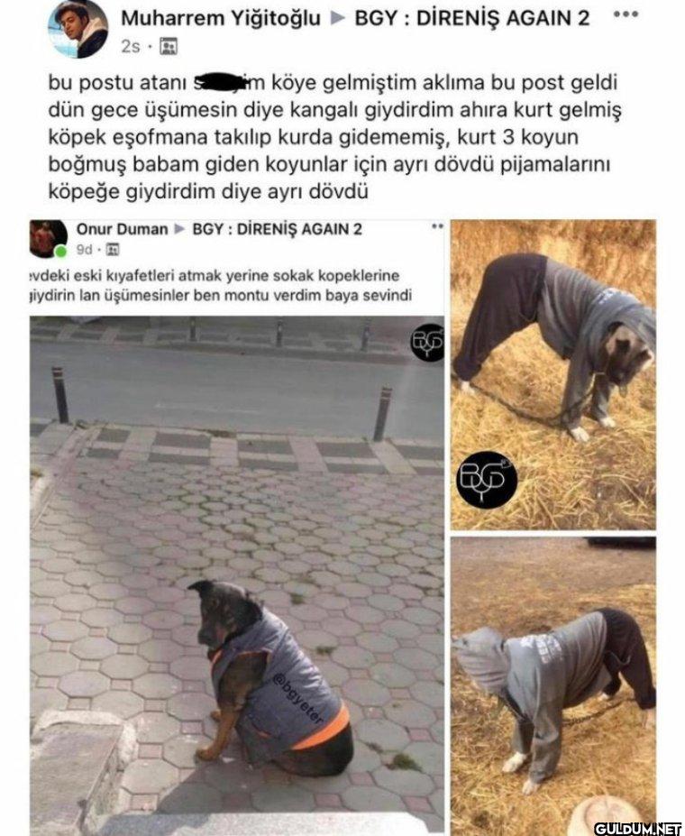 Muharrem Yiğitoğlu BGY:...