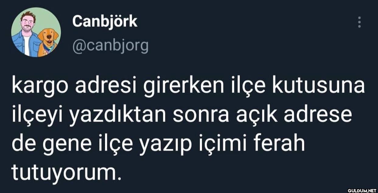 kargo adresi girerken ilçe...