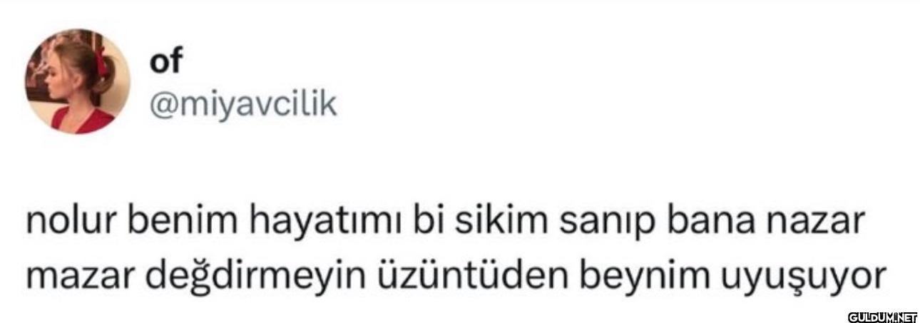 nolur benim hayatımı bi...