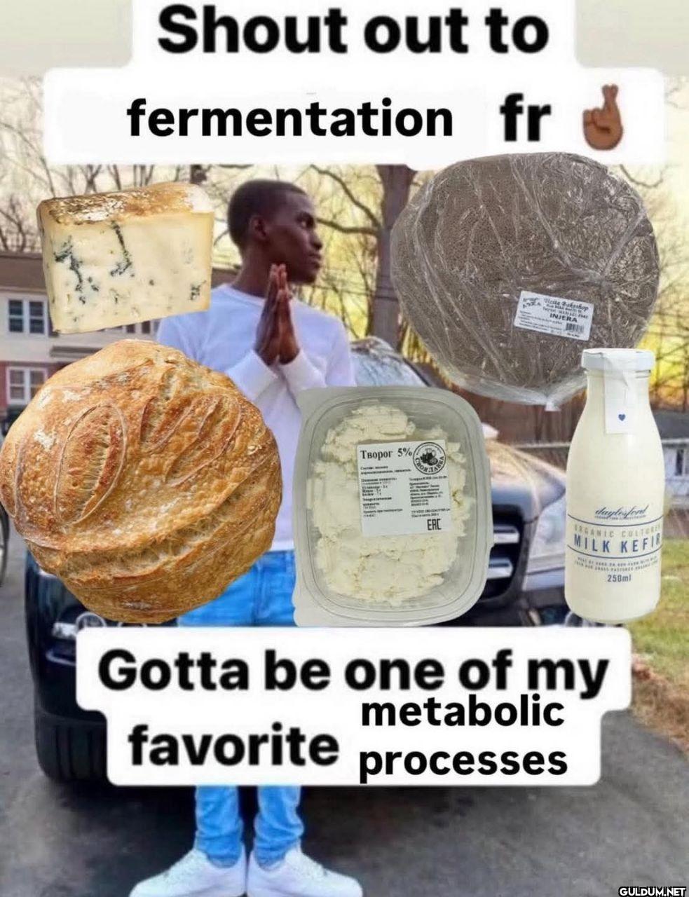 Shout out to fermentation...