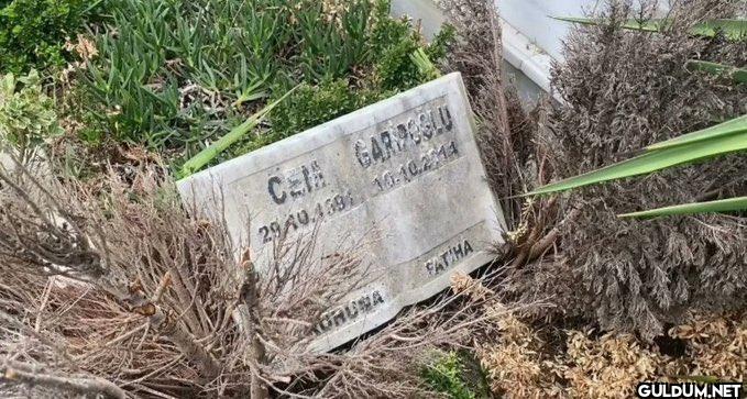 Bu kadar zengin olacaksın,...