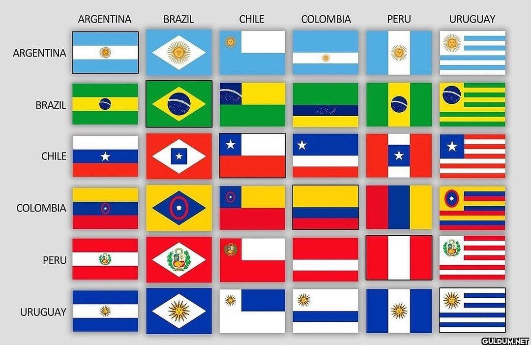 South American Flag...
