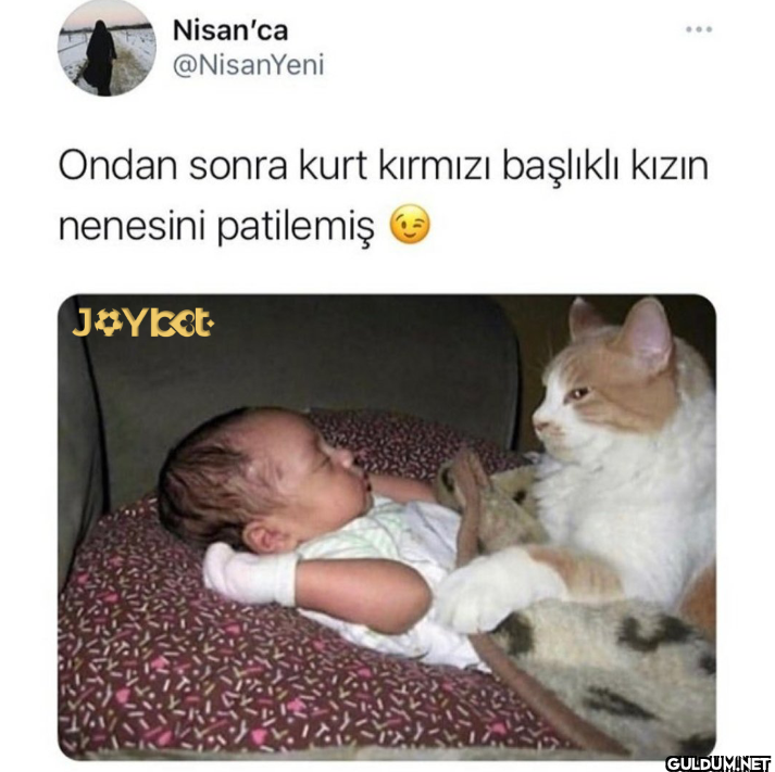 Ondan sonra kurt kırmızı...