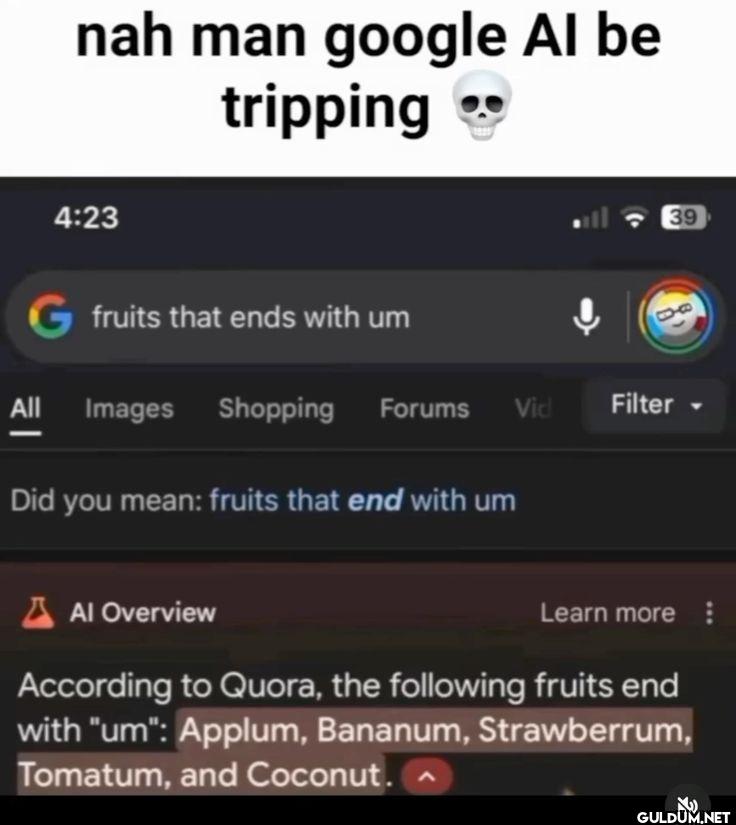 nah man google AI be...