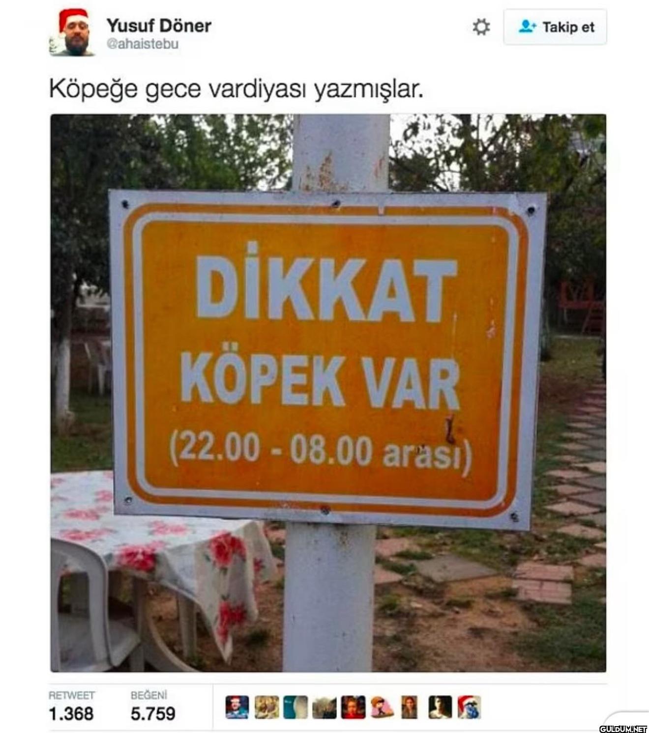 Köpeğe gece vardiyası...
