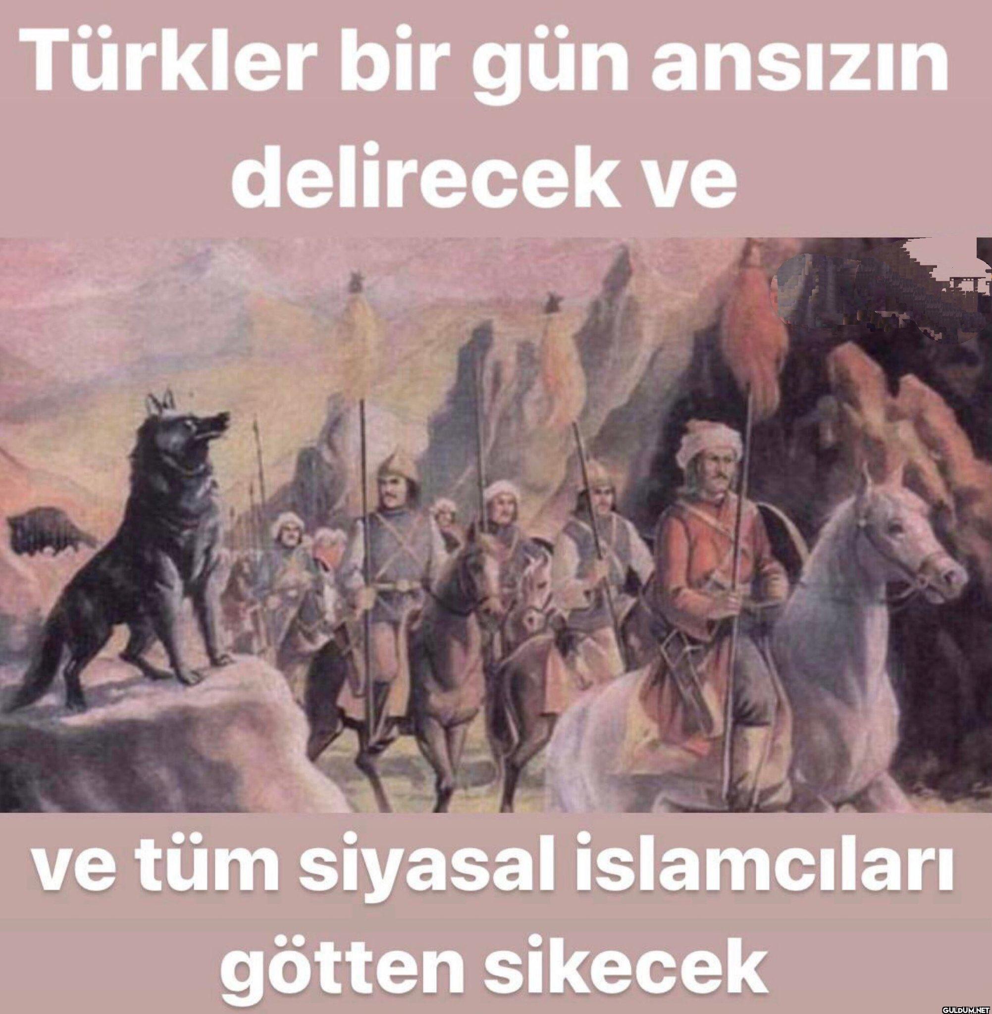 Türkler bir gün ansızın...