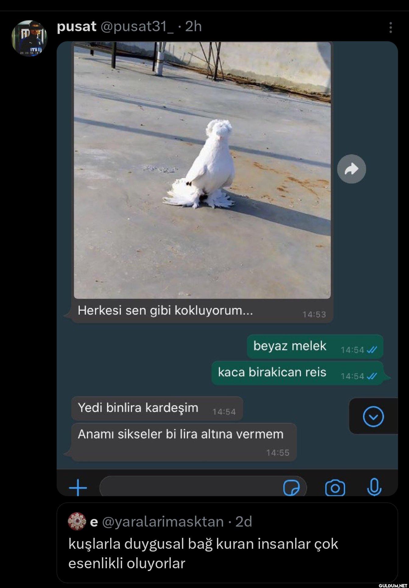 · 2h Herkesi sen gibi...