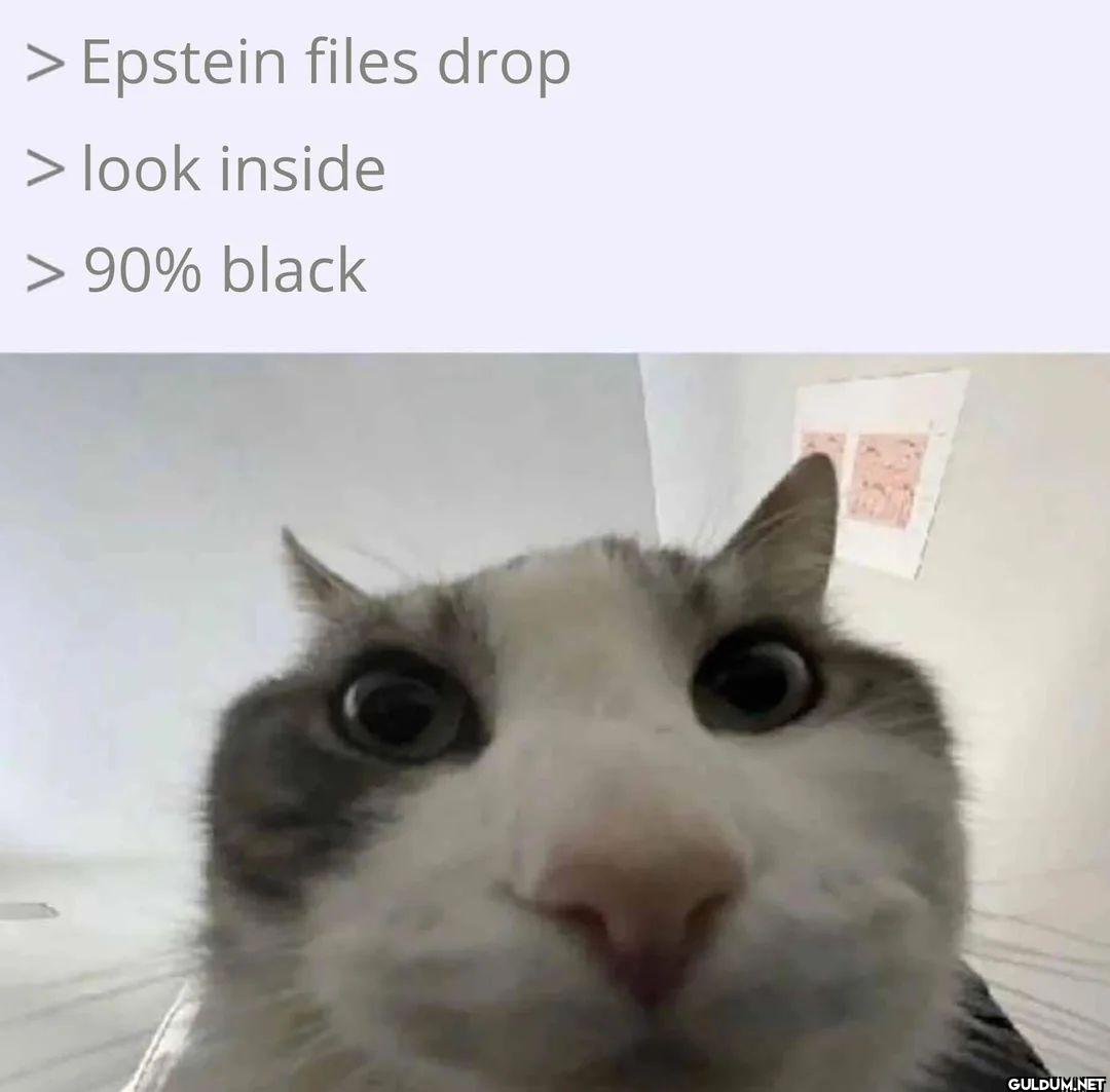 Epstein files drop look...
